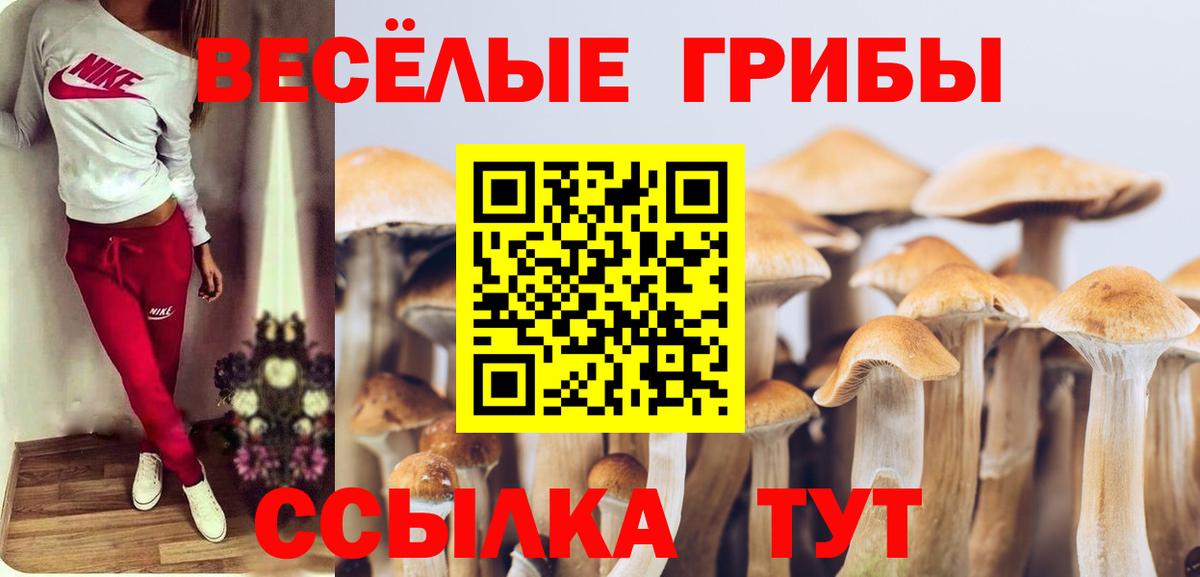 Галлюциногенные грибы Psilocybine cubensis  Вход с VPN  Сосновоборск 